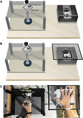 Tactile-STAR: A Novel Tactile STimulator And Recorder System for Evaluating and Improving Tactile Perception